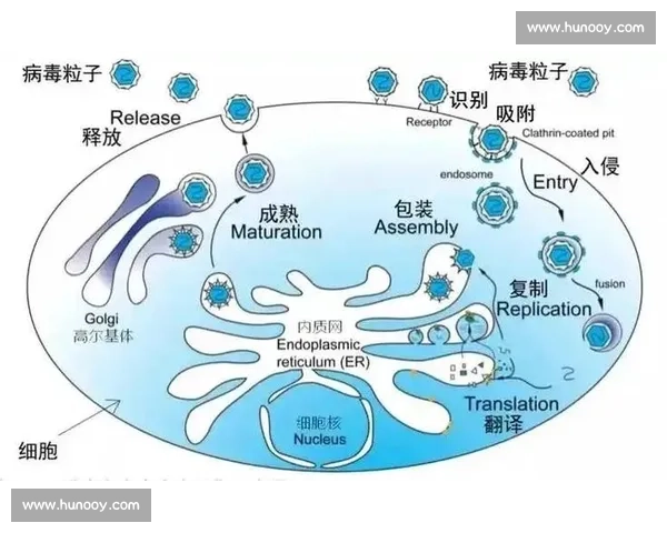 突破对手防线的智慧博弈与体育竞技策略全面解析