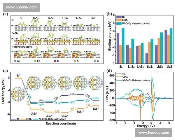 科学化体育训练全过程优化与运动表现提升研究